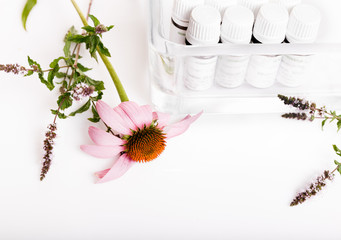 Homeopathy. A homeopathy concept with homeopathic medicine. Dried healing herbs, echinacea flower...