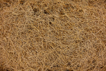 Hay wallpaper background close up.