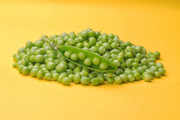 Green fresh pea and pea stalk top on a bright yellow background.
