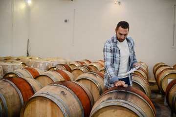 handsome man winemaker in a maturing wine cellar winery during harvest season with oak barrels