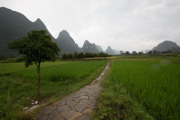 landscape in asia on a cloudy day