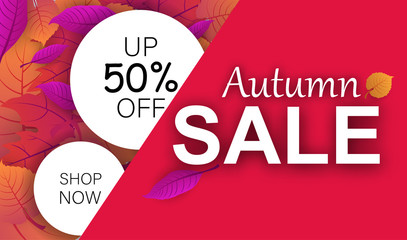 Autumn 50% off sale booklet with leaves. Shop now poster.