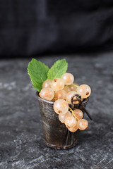 Ripe organic white currant small metal bucket Black background Still life Copy space Summer berries harvest
