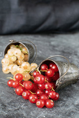 Ripe organic red and white currant small metal bucket Black background Still life Copy space Summer berries harvest