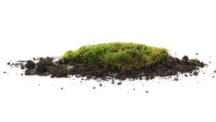 Green moss on soil, dirt pile, isolated on white background