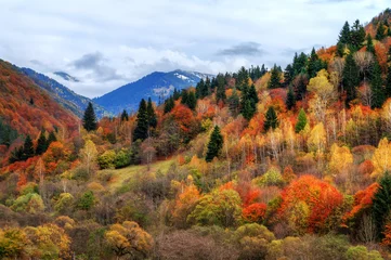 Foto op Canvas Beautiful landscape view of the mountains of the Rila Nature Park in Bulgaria with vibrant autumn colors in the forest © dennisvdwater