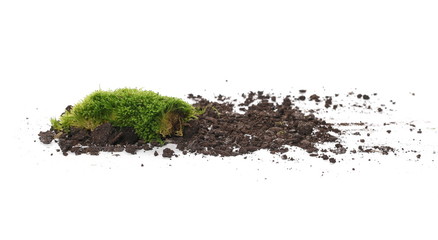 Green moss on soil, dirt pile, isolated on white background