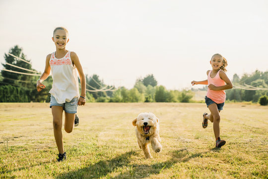 Girls running through field with labradoodle puppy