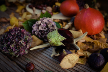Fototapeta na wymiar Herbstliches Gemüse