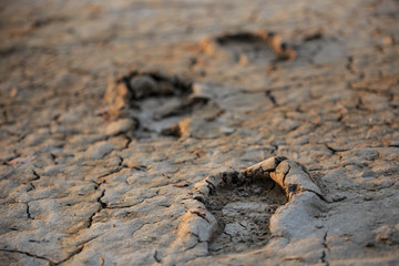 Footprints in dry cracked mud at sunset