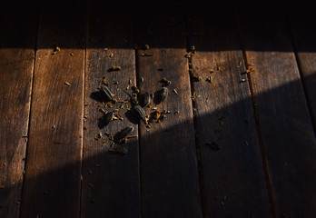 sunflower seeds on wooden table