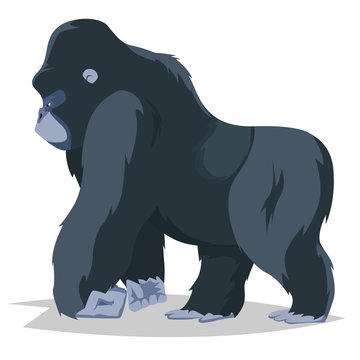 Gorilla walking side view.