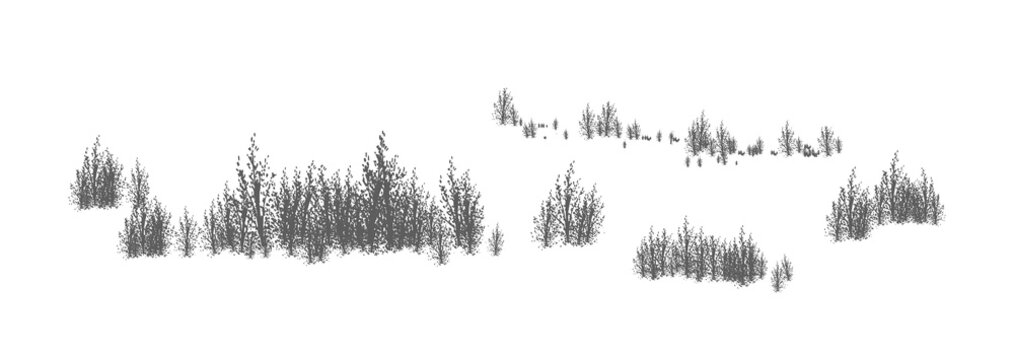 Woody landscape with silhouettes of deciduous trees and shrubs. Horizontal panorama with thicket of forest plants. Decorative design element in black and white colors. Monochrome vector illustration.