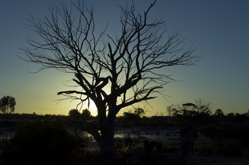 Spring sunset over Lake Magic, Hyden, WA, Australia