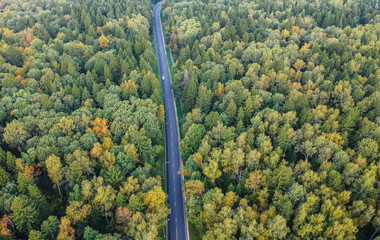 Early autumn forest with a road going throug, aerial view