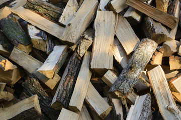 Firewood from beech on the whole screen
