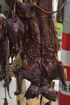 Bushmeat china