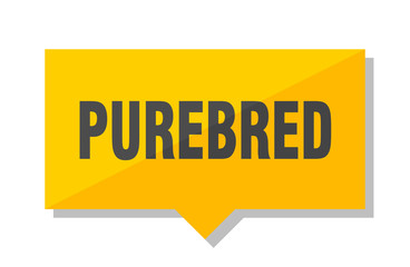 purebred price tag