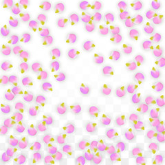 Vector Realistic Pink Petals Falling on Transparent Background.  Spring Romantic Flowers Illustration. Flying Petals. Sakura Spa Design. Blossom Confetti.