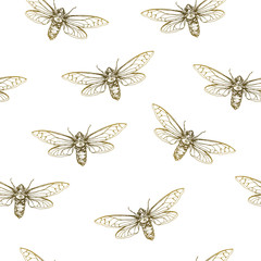 Vector illustration. Cicadas . Vector pen style sketch. Element of seamless pattern.