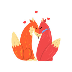 Couple of red foxes in love, two happy wild aniimals with hearts over their head vector Illustration on a white background