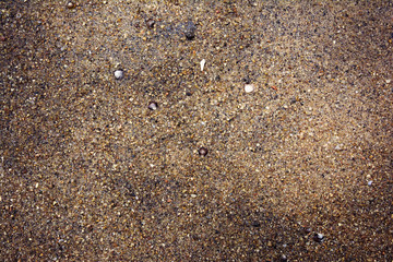 wet  sand Texture background
