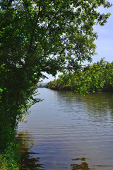 Bullaque River in the natural setting of the Tablas de la Yedra, Piedrabuena, Ciudad Real, Spain.