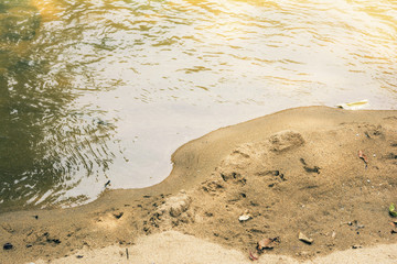 Yellow sand Texture and water surface
