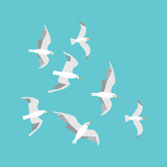 Seagulls in the sky. Vector flat illustration