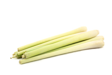 lemon grass on white background