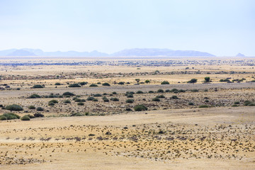 Luftaufnahme, Spießböcke (Oryx gazella), Tinkas Plains, Namib-Naukluft-Nationalpark, nordöstlicher Teil