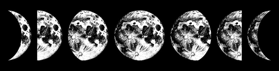 Naklejka premium ilustracja faz księżyca