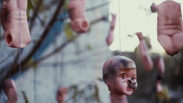 Horror heads and other parts of dolls hanging on trees
