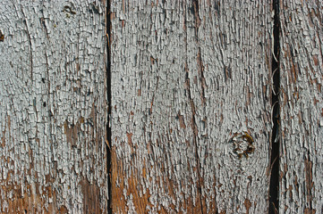 Old wood texture
