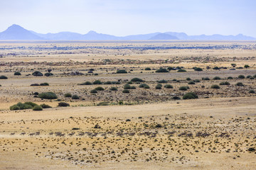 Fototapeta na wymiar Luftaufnahme, Spießböcke (Oryx gazella), Tinkas Plains, Namib-Naukluft-Nationalpark, nordöstlicher Teil