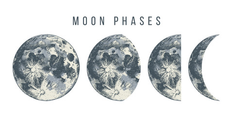 Naklejki  moon phases illustration