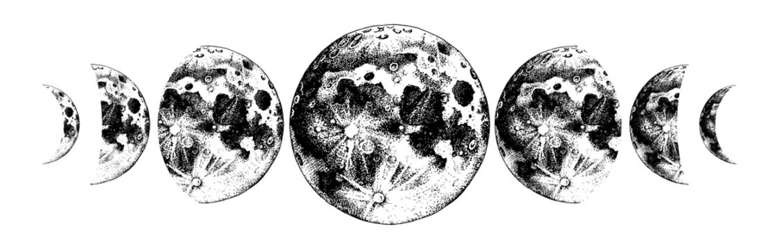 moon phases illustration