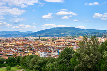 Fototapeta na wymiar Aerial view of Florence seen from the 