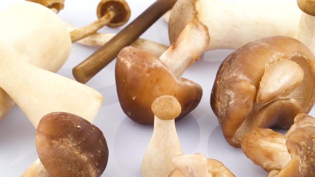 Several shiitake and eryngii mushrooms. Standing and lying. Rotating on the turntable isolated on the white background. Close up.