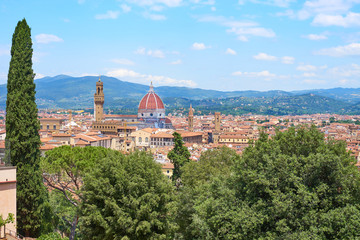 Fototapeta na wymiar Aerial view of Florence with the Basilica Santa Maria del Fiore (Duomo) and tower of 