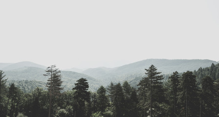 Misty landscape of the Carpathian Mountains in Romania