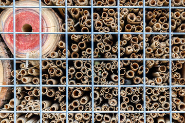 Obraz na płótnie Canvas Close-up part of craft hotel or house for wild bees and other insect made of natural eco materials. Shelter made of cones, wood and bamboo sticks, hay, straw and bark