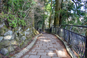 道　自然　公園