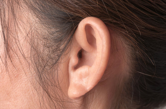 Close up Woman ear with brown hairs.
