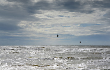 Nordsee in Holland