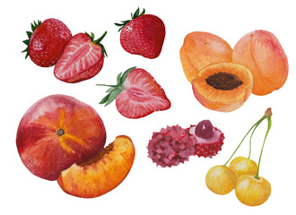 Fruits