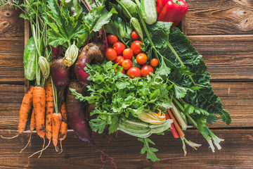 Bio food. Garden produce and harvested vegetable. Fresh farm vegetables in the box. Carrots, beets,...