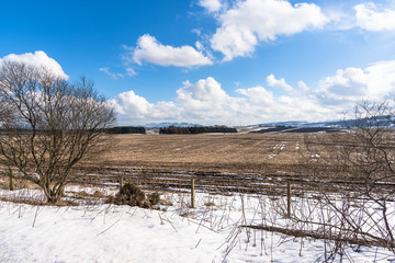 Field Partly Covered in Snow under Blue Sky on a Sunny Winter Day