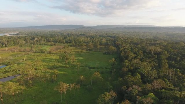 Aerial view of farm in Amazon rainforest, Napo province, Ecuador