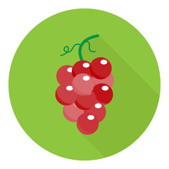 Grape vector illustration